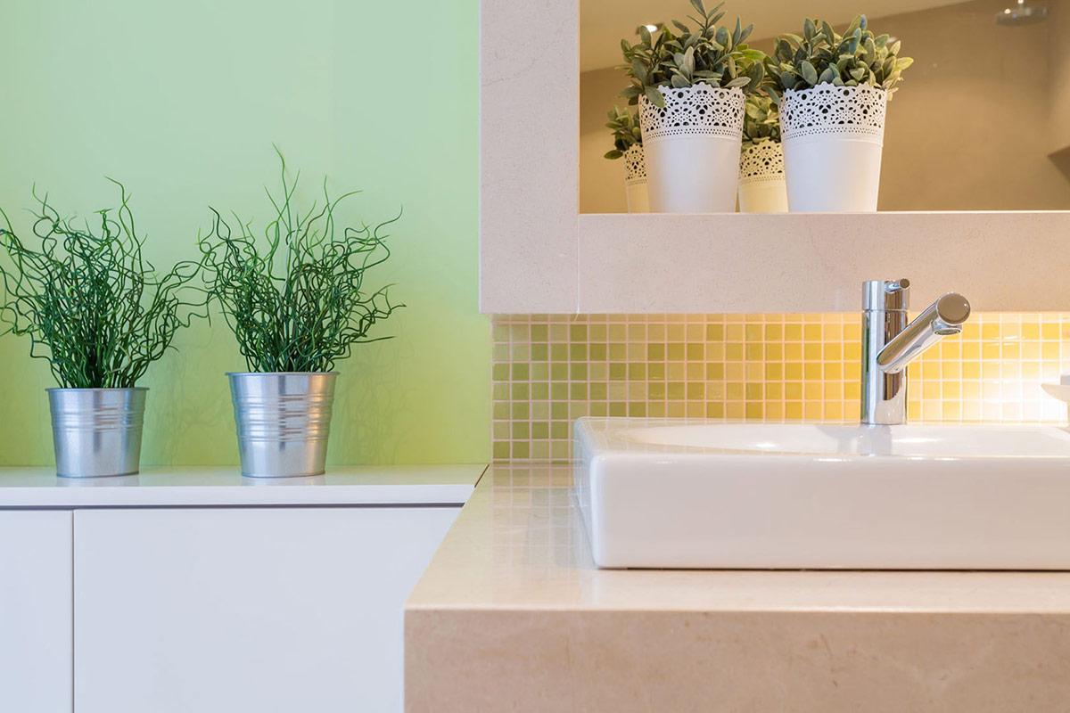 Transform Your Bathroom With These Gorgeous Plants